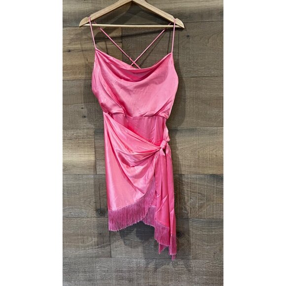Cinq a Sept Octavia pink fringe Dress in Flamingo size 2 - Picture 4 of 11